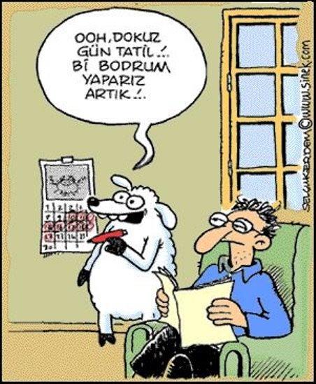Kurbanlıkların Dilinden Kurban Bayramı Heyecanı