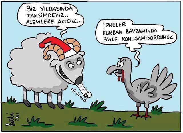 Kurbanlıkların Dilinden Kurban Bayramı Heyecanı