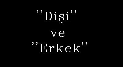 Kadınlara bayan’ dememek için nedenler Kadınlara bayan’ dememek için nedenler