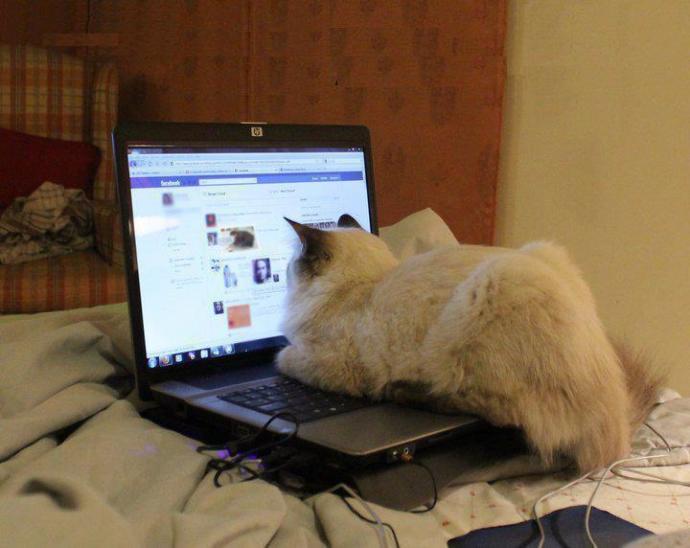KizlarSoruyor'un Son Zamanlardaki En İyi 5 Facebook Video Paylaşımı