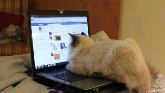 KizlarSoruyor'un Son Zamanlardaki En İyi 5 Facebook Video Paylaşımı