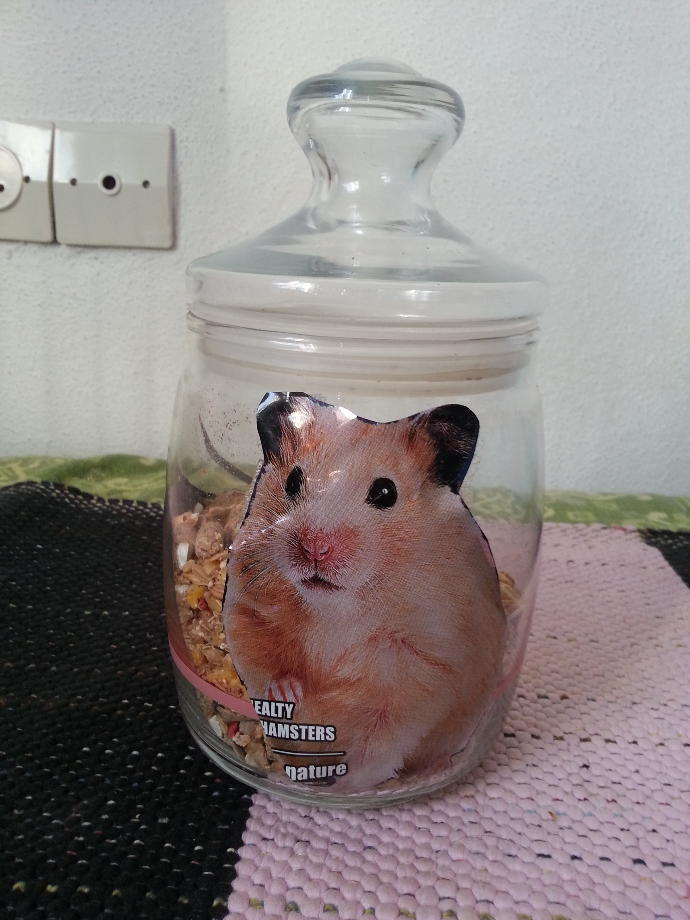 Hamster'ımı Nelerle Besliyorum?