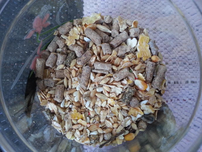 Hamster'ımı Nelerle Besliyorum?
