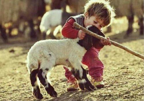 Masumiyet Ne Güzel Şeysin Sen!