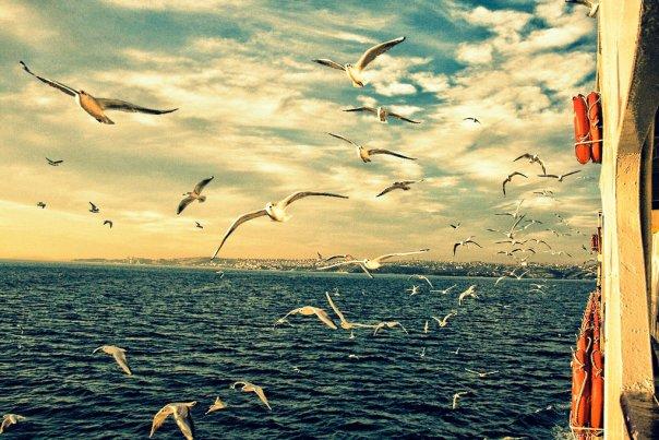 Ayrılık Acısına İyi Gelebilecek Öneriler