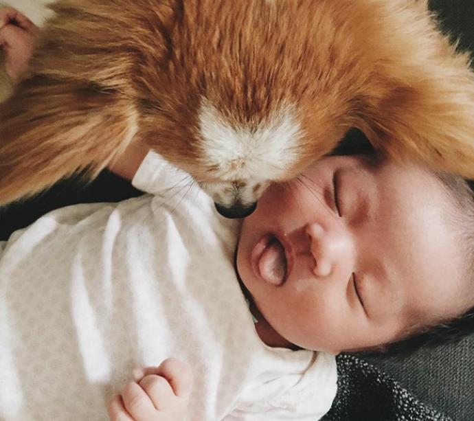 Eğlenceli Anne Laura ve Minik Kızı Joey ile Tanışın! ❤