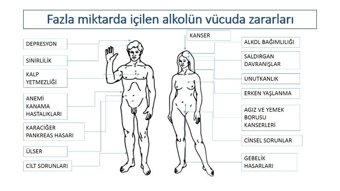 AMATEM Nedir? Ne İşe Yarar?