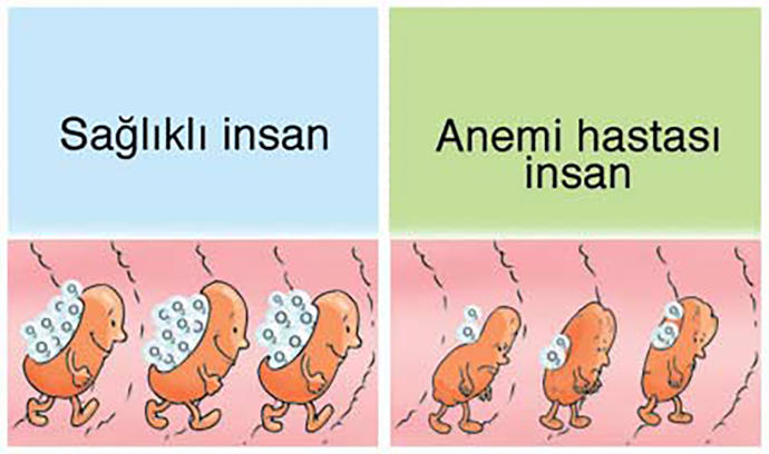 Neredeyse Herkeste Görülen Kronik Hastalıklar