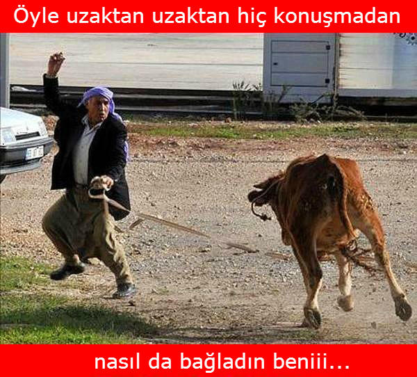 Kurban Bayramında Görmeye Alışık Olduğumuz, Muhtemelen Tekrar Yaşayacağımız 7 Olay!
