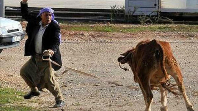 Kurban Bayramında Görmeye Alışık Olduğumuz, Muhtemelen Tekrar Yaşayacağımız 7 Olay!