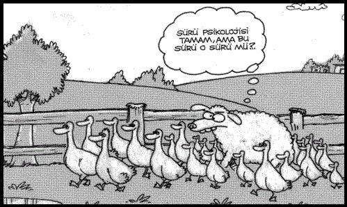 Üniversite başlıyor! Farklı Şehirde Okuyacaklara Tavsiyelerim