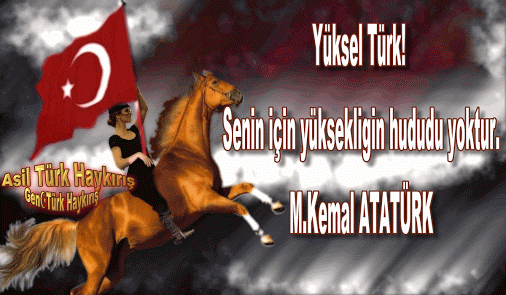 Türkiye'den Utanmak, Türk Olmaktan Çekinmek