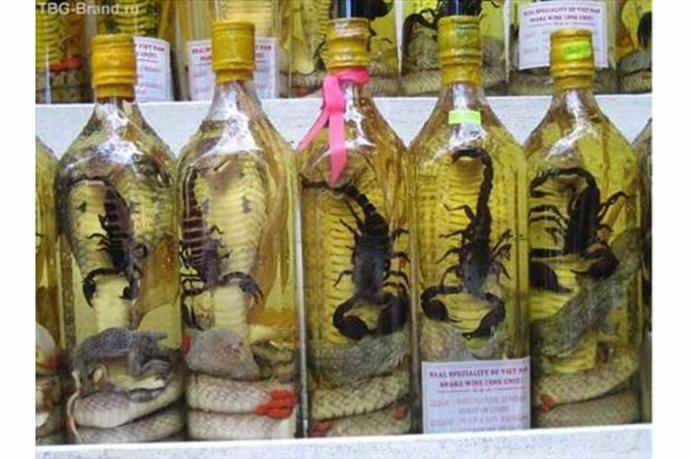 Dünya'nın En Tehlikeli ve En İğrenç 3 İçeceği