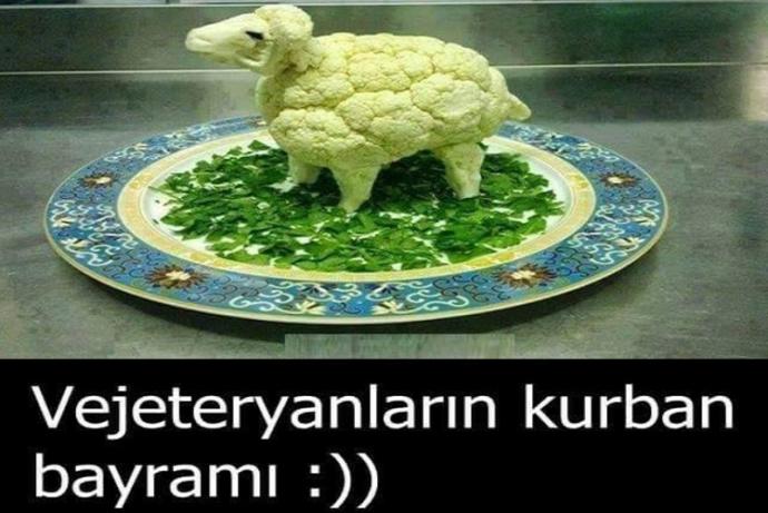 Vejetaryen Birinin Gözünden Kurban Bayramı