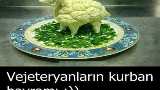 Vejetaryen Birinin Gözünden Kurban Bayramı