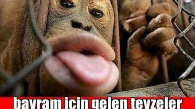 Bayramlar Güzeldir, Sosyal Medyadaki Şakayla Karışık Yapılan Karalamalara Kanmayın