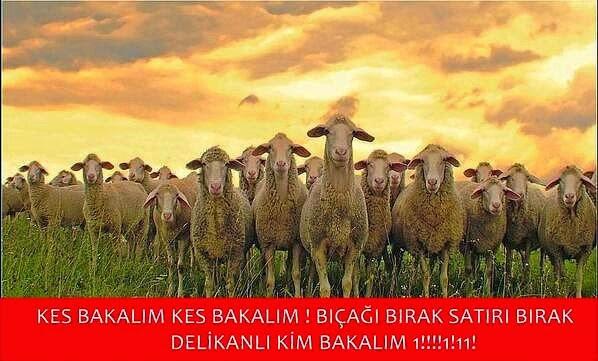 Her Kurban Bayramında Klişe Olmuş Bayram Capsleri!