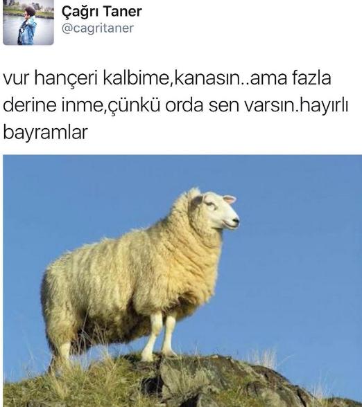 Her Kurban Bayramında Klişe Olmuş Bayram Capsleri!