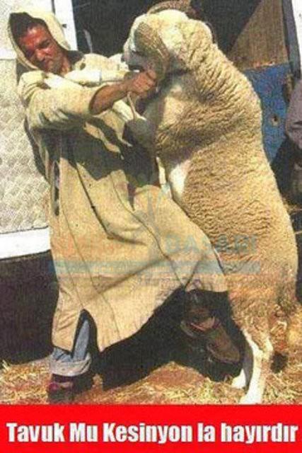 Her Kurban Bayramında Klişe Olmuş Bayram Capsleri!