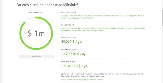 KizlarSoruyor Sitesinin Değeri, Günlük, Aylık ve Yıllık Tahmini Kazancı ve Tüm Merak Edilenleri!