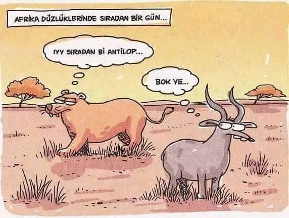 Sıradan Olmayın! Sorgulamak ve Farkındalık Çok Şey Kazandırır