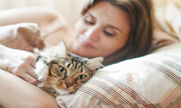 Evinde Kedi Besleyenleri Eleştirmeden Önce Bilmeniz Gerekenler