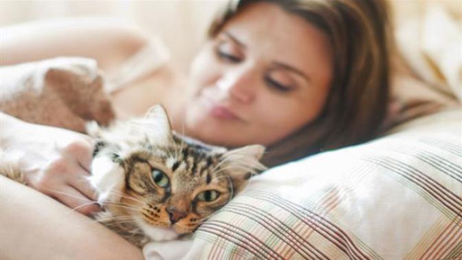 Evinde Kedi Besleyenleri Eleştirmeden Önce Bilmeniz Gerekenler