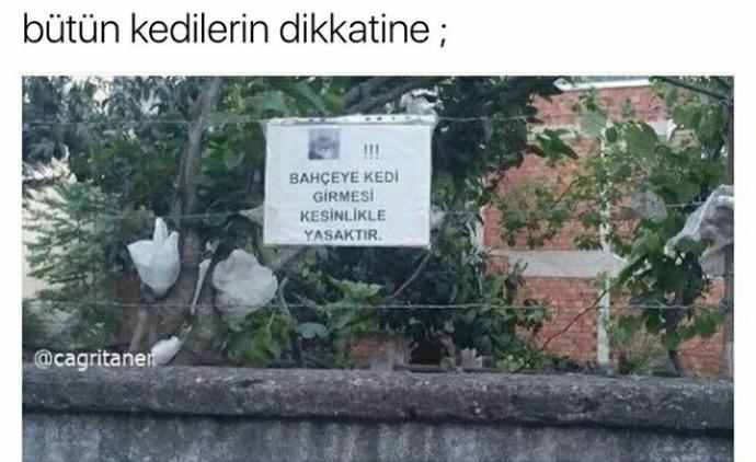 Capsler ile Türk İnsanı