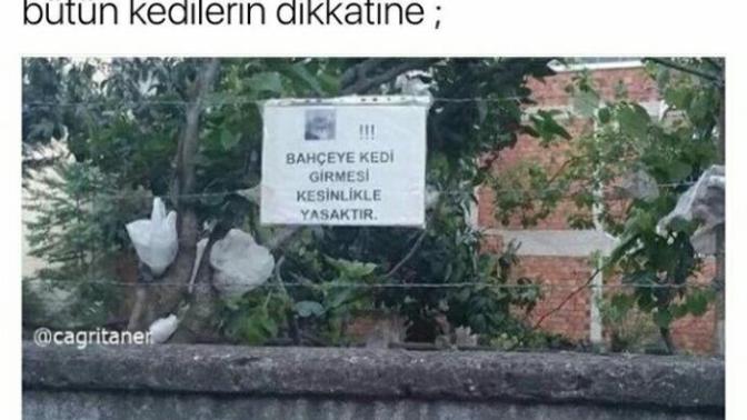 Capsler ile Türk İnsanı