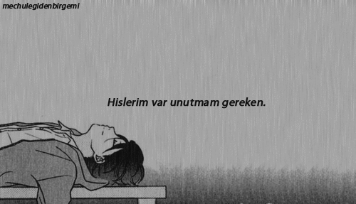 Bir Kızın Aşk Evreleri