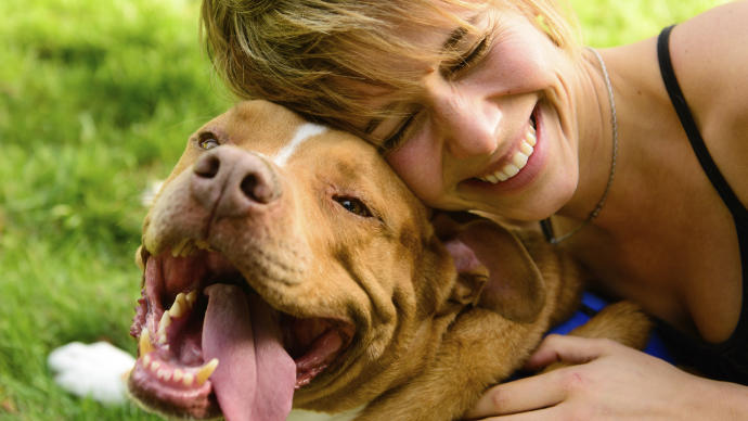 Bazı Köpek Cinslerinin Korkunç olduğunun Kanıtı