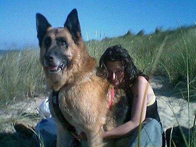 Bazı Köpek Cinslerinin Korkunç olduğunun Kanıtı
