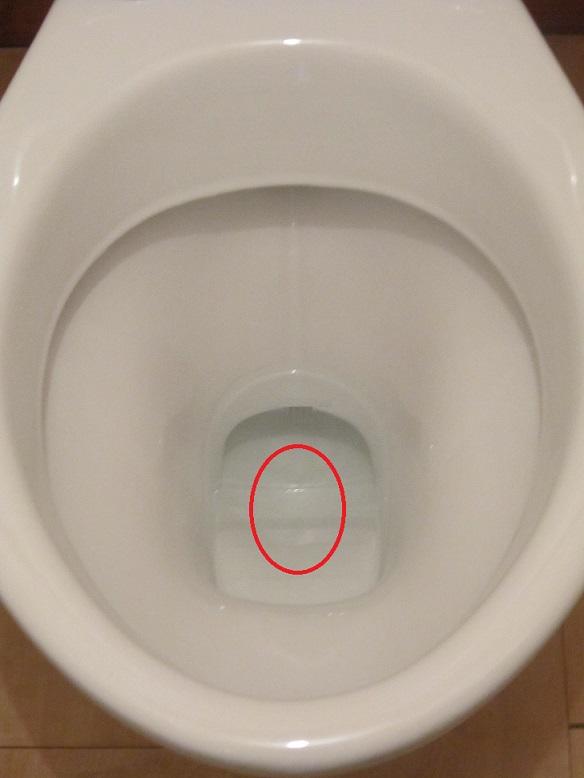 Misafirliklerin Korkulu Rüyası: Alafranga Tuvalete İşeme Rehberi