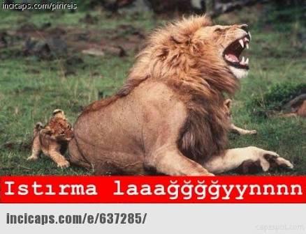 12 Burç ve Onlara Asla Yapmamanız Gereken Hareketler