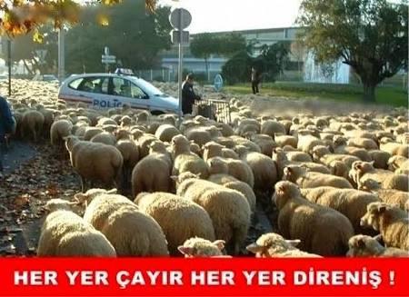12 Burç ve Onlara Asla Yapmamanız Gereken Hareketler