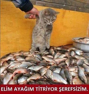 12 Burç ve Onlara Asla Yapmamanız Gereken Hareketler