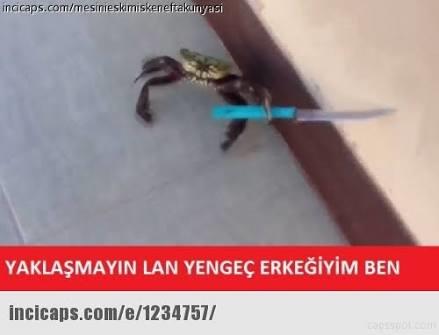 12 Burç ve Onlara Asla Yapmamanız Gereken Hareketler