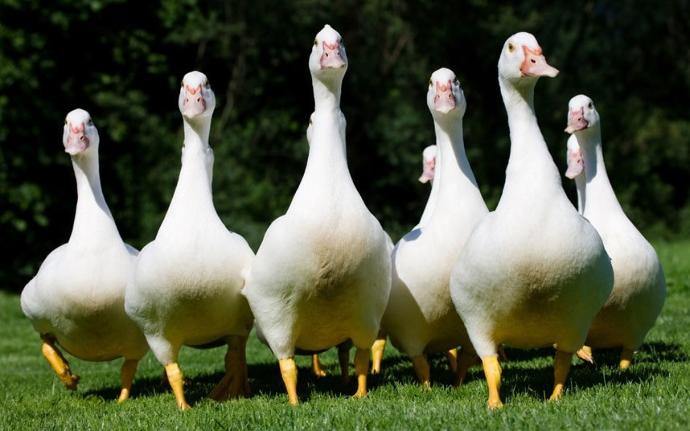 Çin Hakkında Duyunca "Yok Artık" Diyeceğiniz Garip Şeyler