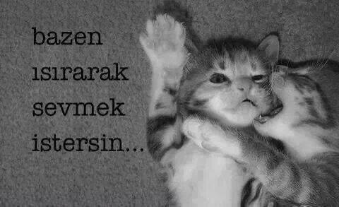 Kadınların Erkeklerden Beklediği Basit ama Etkili Detaylar