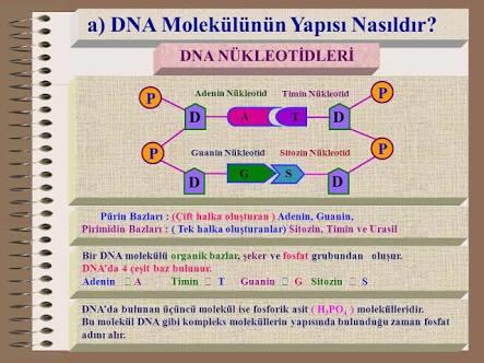 Irkçılık Yapmadan Önce Bir Kez Daha Düşün!