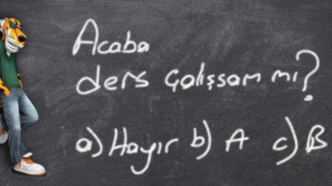Ders Çalışmak İçin İhtiyacın Olan İki Şey