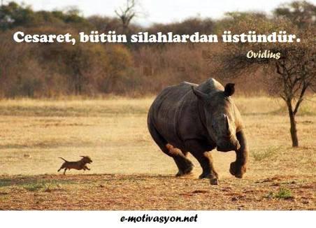 Akışına Bırakma!