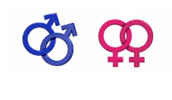 Homoseksüelliğin Doğuştan Olduğu Uydurması