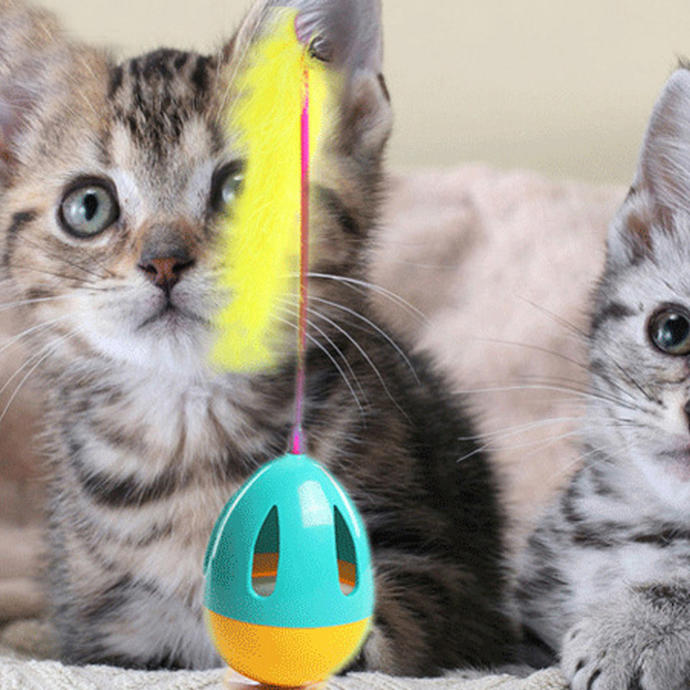 Sadece Kedi Sahibi Olanların Hissettiği O Duygular!