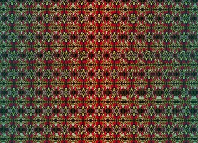 90'lı Yılların Trendi! Üç Boyutlu (stereogram) Resimler ve Bu Resimlere Bakma Teknikleri