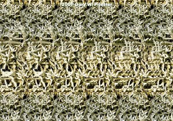 90'lı Yılların Trendi! Üç Boyutlu (stereogram) Resimler ve Bu Resimlere Bakma Teknikleri