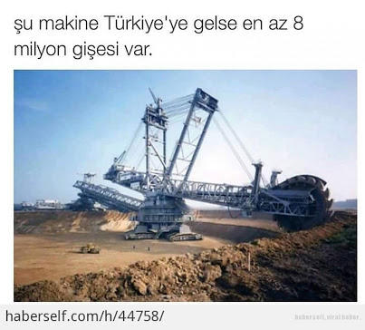 "As Bayrakları As" Dedirtecek Sadece Türklere Özgü Olan Davranışlar!