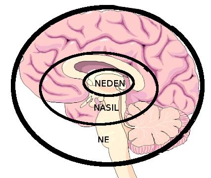 Yabancı Dil Öğrenenlerin Yaptığı 5 Ölümcül Hata!