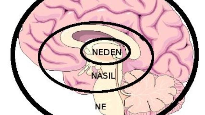 Yabancı Dil Öğrenenlerin Yaptığı 5 Ölümcül Hata!