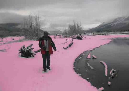 Kadınların Pembe Dünya Hayali 💕